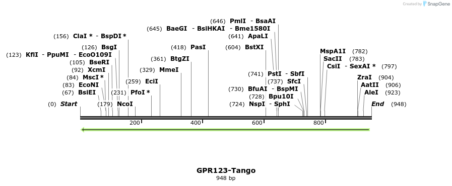 119981_map