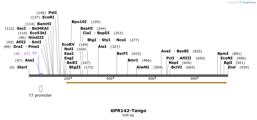 119983_map