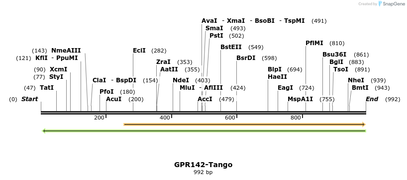 119985_map
