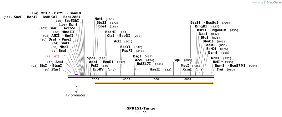 119986_map
