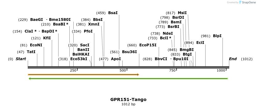 119987_map