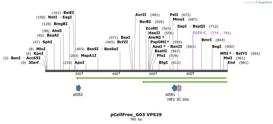 119988_map