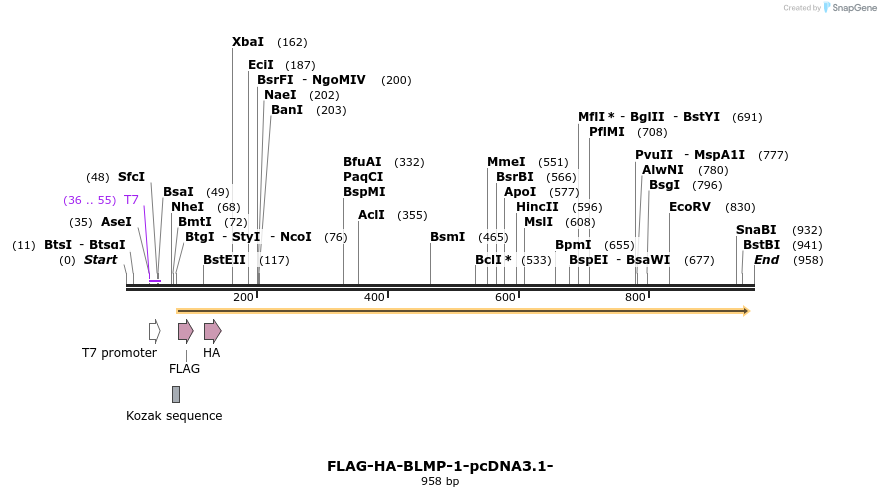 119992_map