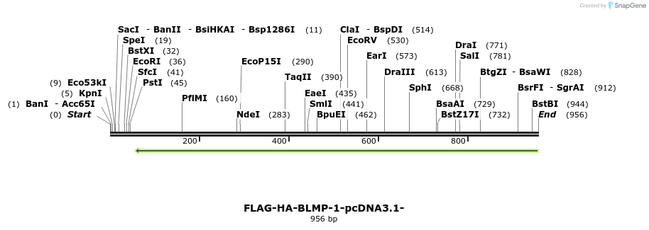 119993_map