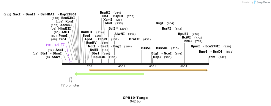 119996_map