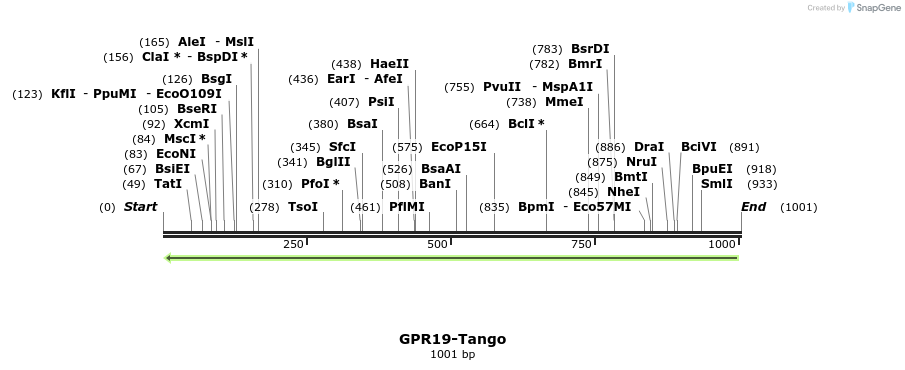 119997_map