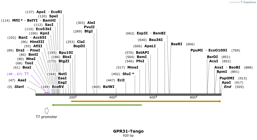 119998_map