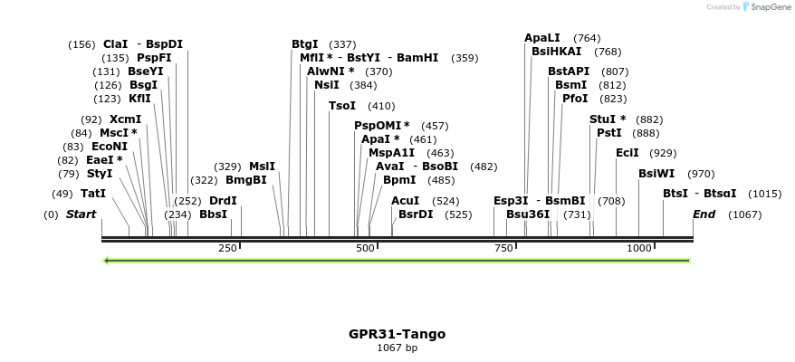 120001_map