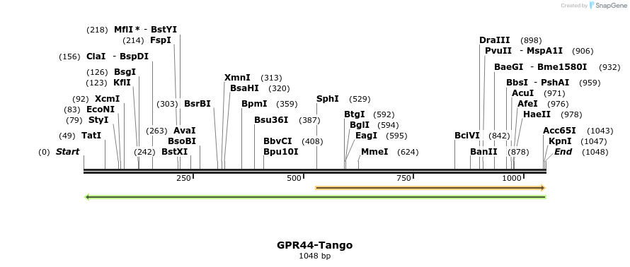 120004_map