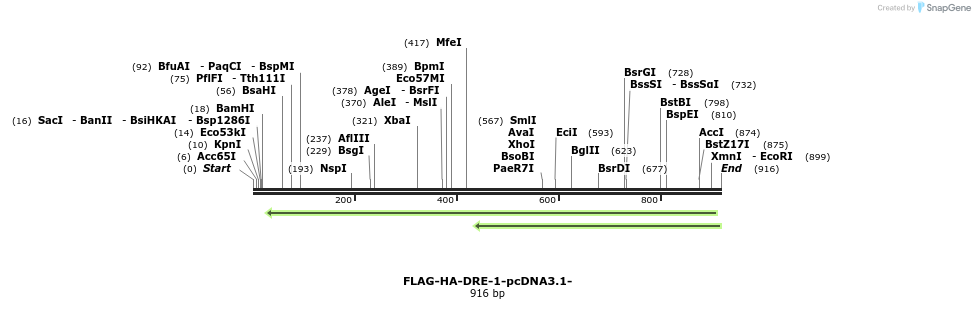 120006_map