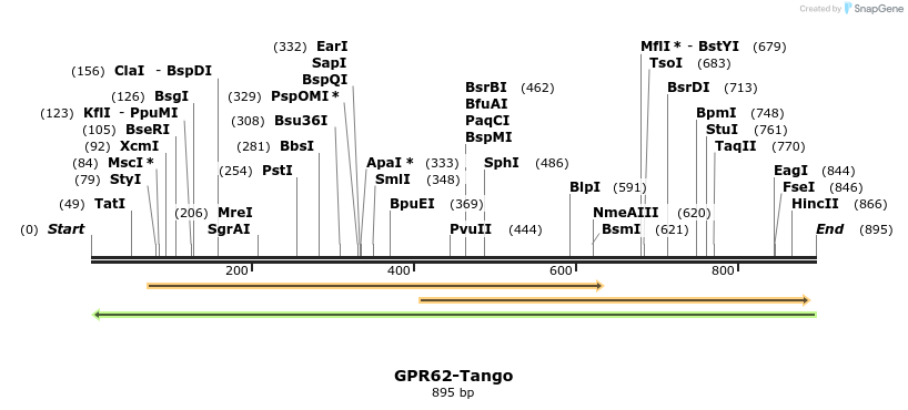 120008_map