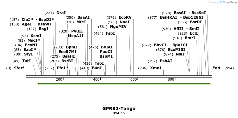 120010_map