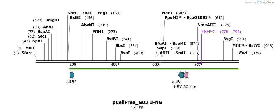120011_map