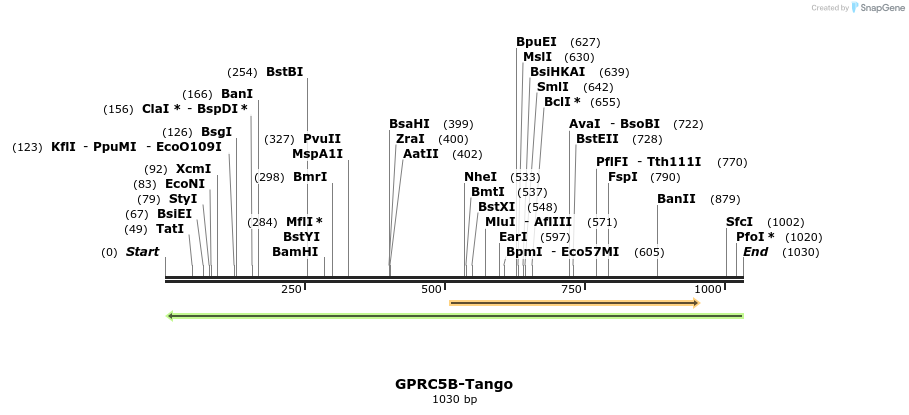 120013_map