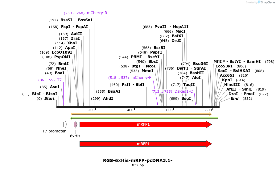 120017_map