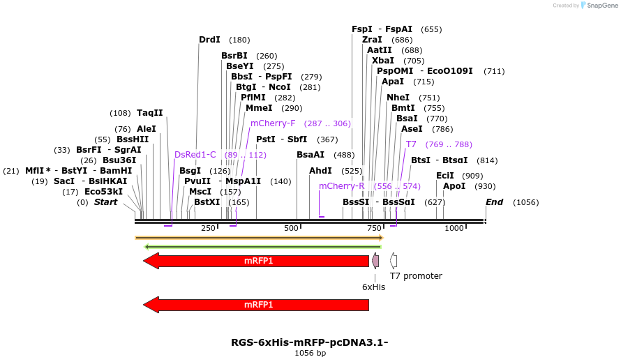 120019_map