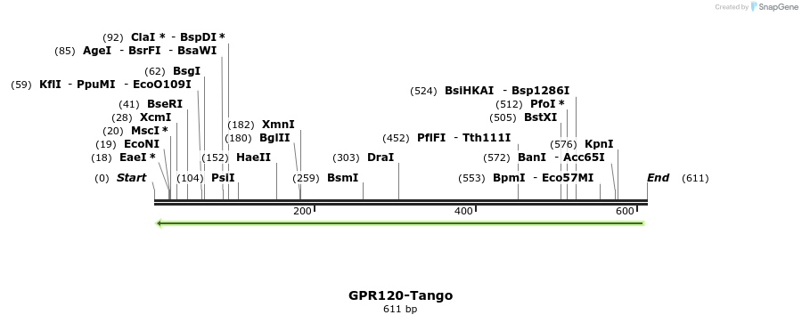 120021_map