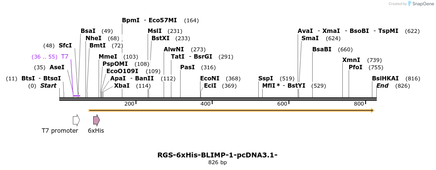 120022_map