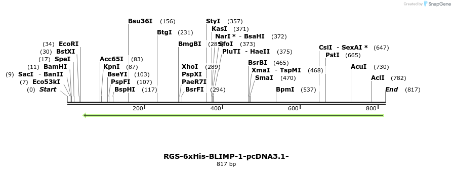 120023_map