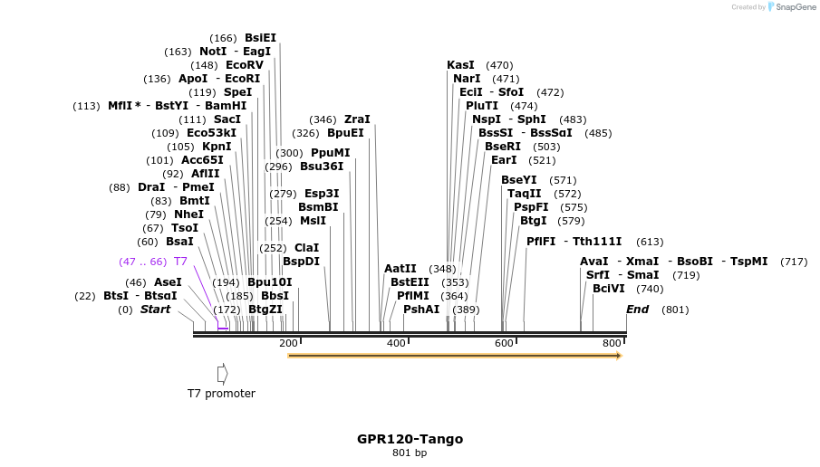 120024_map