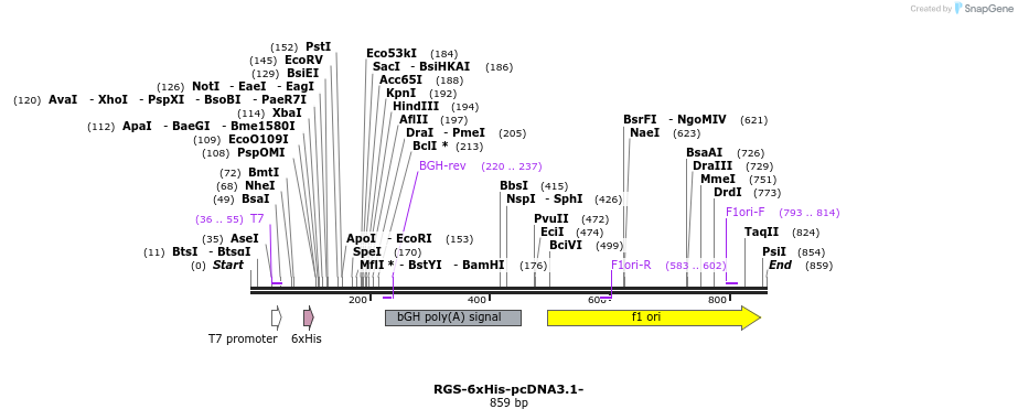 120025_map