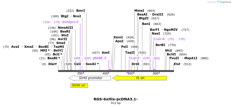 120026_map