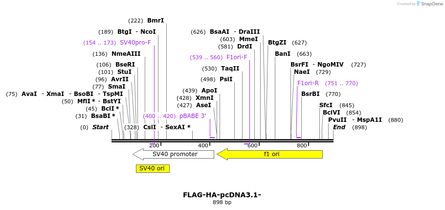 120029_map
