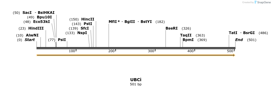 12003_map