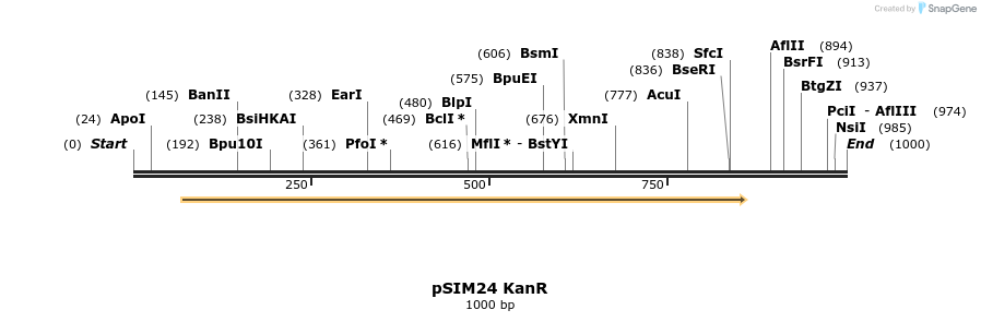 120030_map