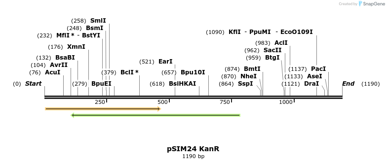 120031_map