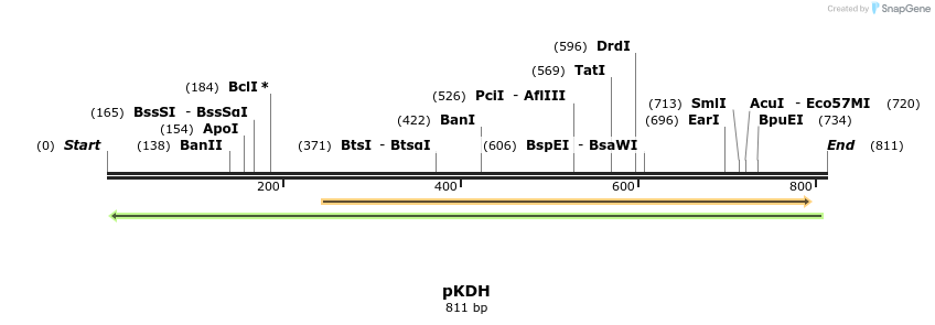 120033_map