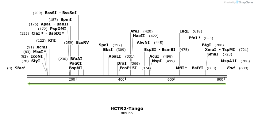 120036_map