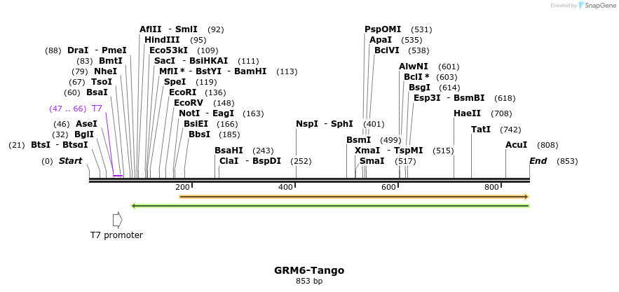 120037_map