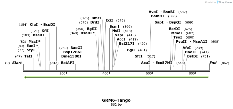 120039_map