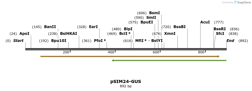120041_map
