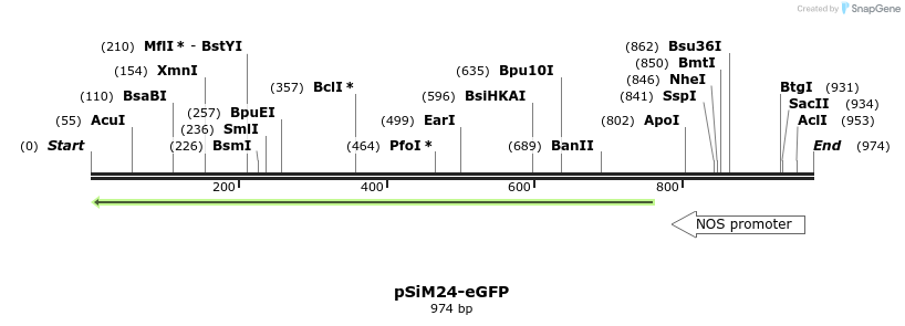 120046_map