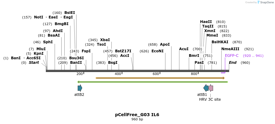 120047_map
