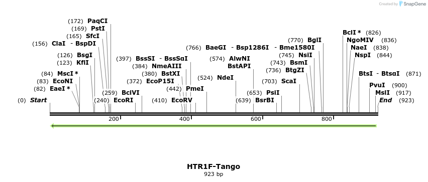 120049_map