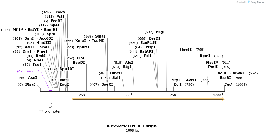 120050_map