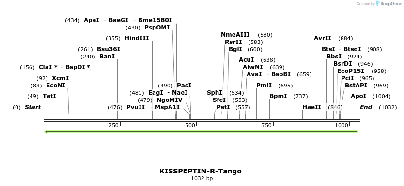 120052_map