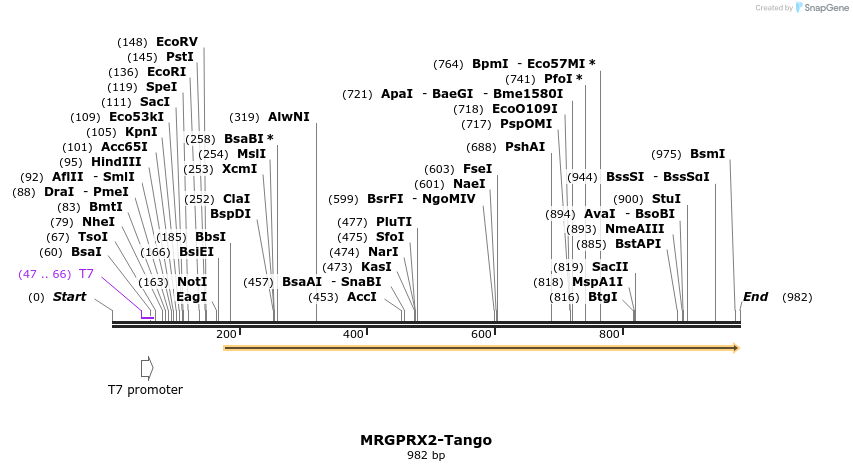 120058_map
