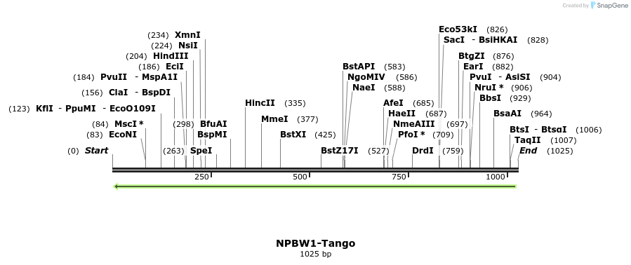 120061_map