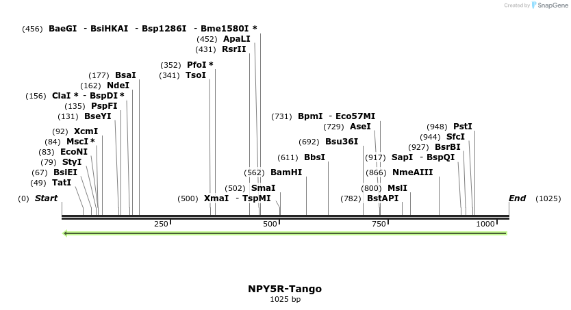 120063_map