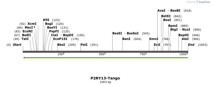 120068_map