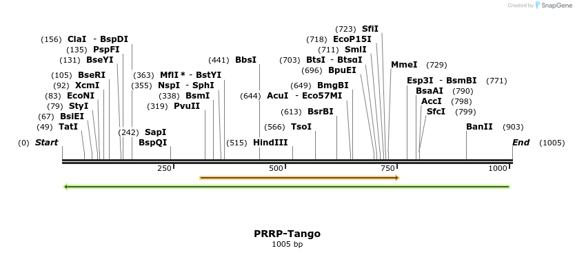120070_map