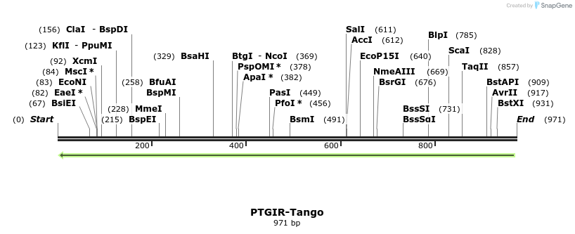 120071_map