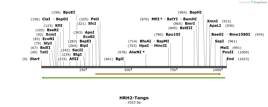 120091_map