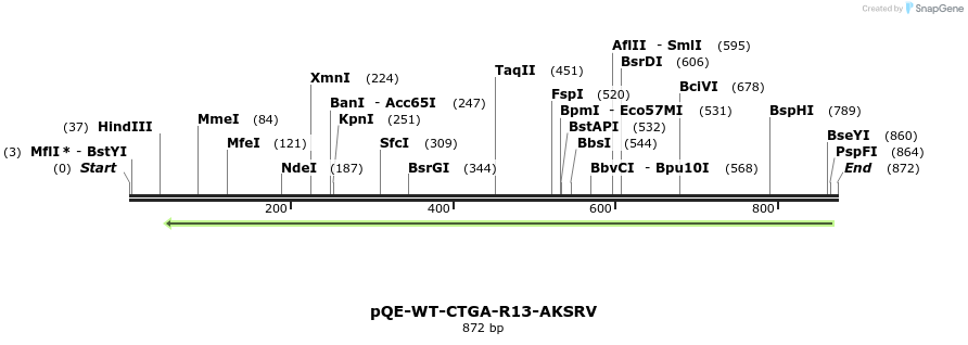 120100_map