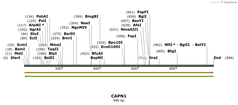 12011_map