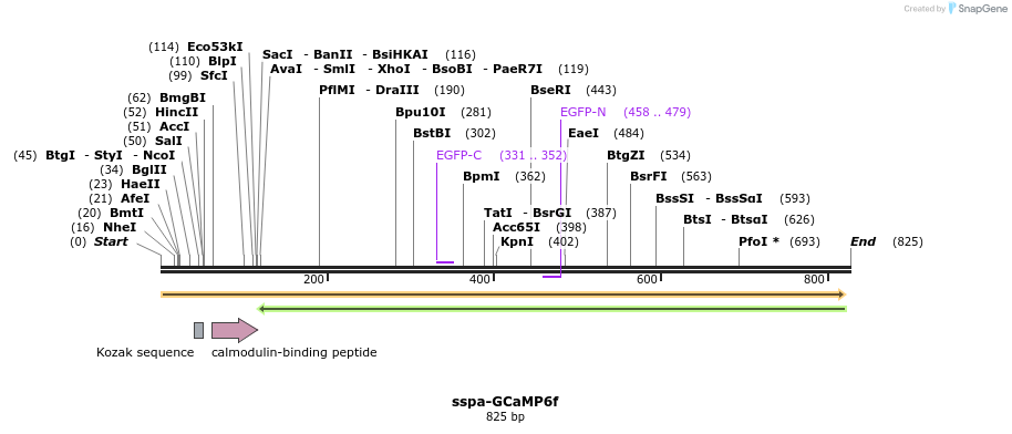 120111_map